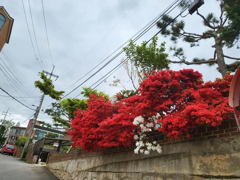 Yeongjongdo Athing Pension インチョン広域市 別荘