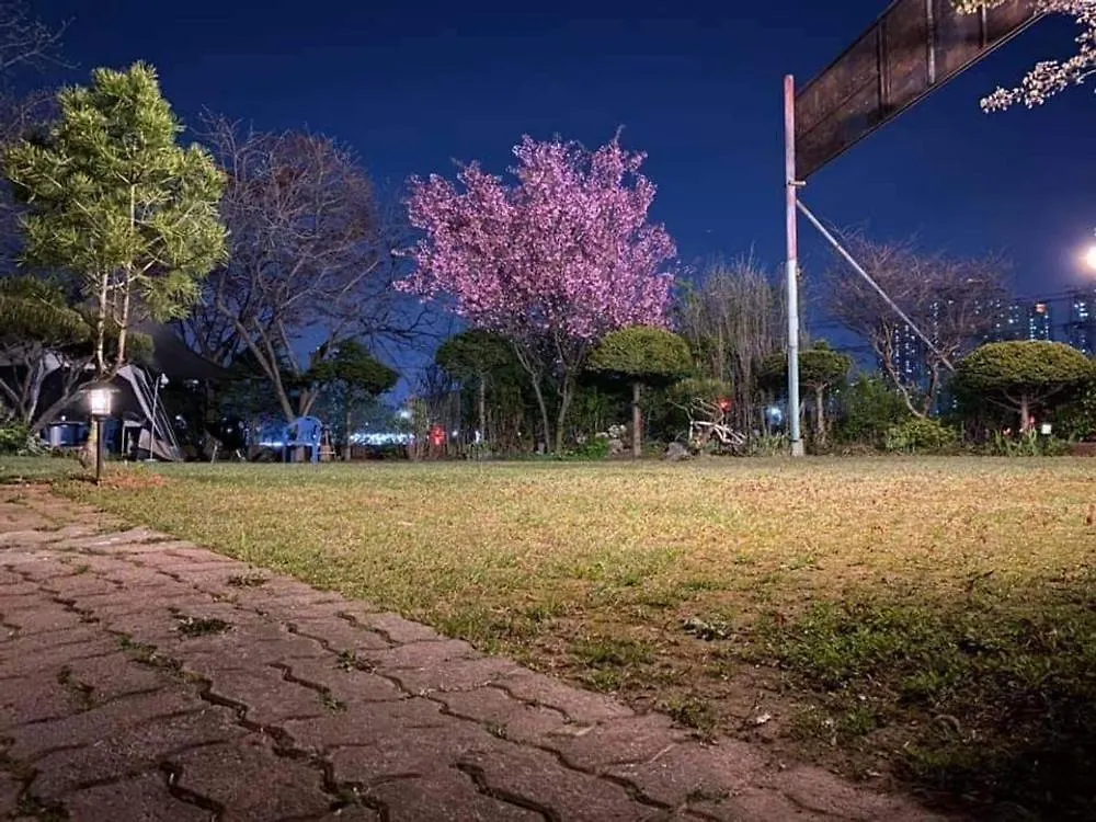 Yeongjongdo Athing Pension インチョン広域市